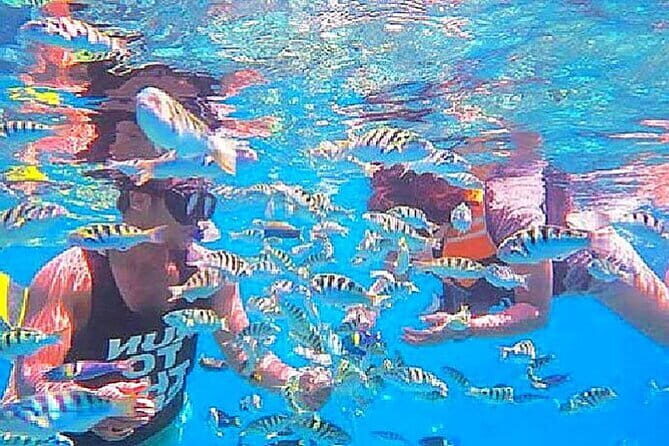 Bali Snorkeling at Blue Lagoon and Tanjung Jepun - Who Should Consider This Tour?