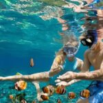 Bali Snorkeling Blue lagoon All Inclusive - What’s Included & What to Consider