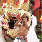 Bali Unique 2 Days Tour Packages - Transportation and Logistics