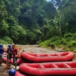 Bali Water rafting Adventure - Who Is This Tour Best For?