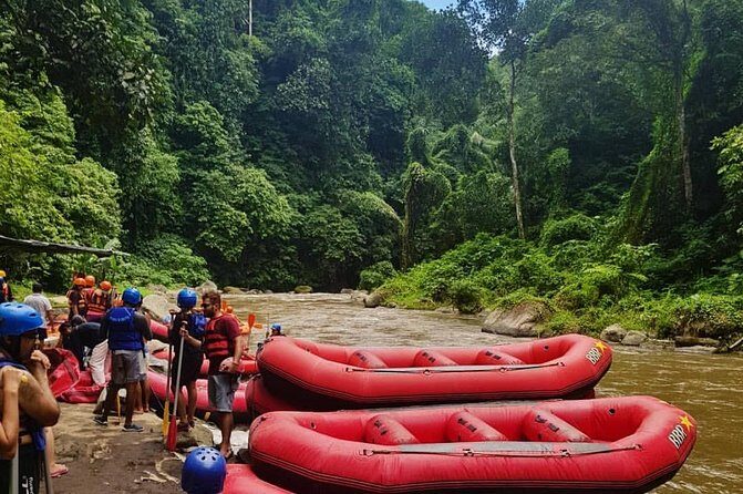 Bali Water rafting Adventure - Who Is This Tour Best For?