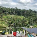 Bali Water Sports Activity and Kintamani Volcano Private Tour - Authentic Insights from Reviews