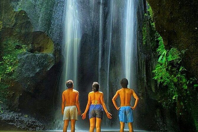 Bali Waterfall : Tukad Cepung - Tibumana - Rice terrace & j.swing - Who Should Book This Tour?