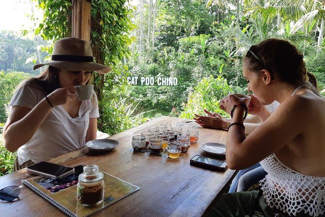 Balinese Healing, Purifying Bath and Waterfall - Who Will Love This Tour?