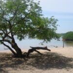 Baluran Trip - Final Thoughts: Is the Baluran Trip Worth It?