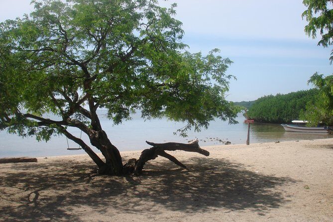 Baluran Trip - Final Thoughts: Is the Baluran Trip Worth It?
