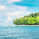 Bamboo Island Half Day Fishing Trip from Pattaya - What Makes This Tour Special?