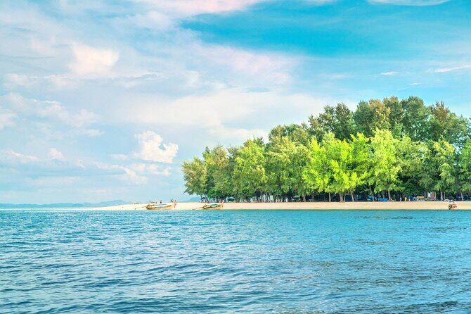 Bamboo Island Half Day Fishing Trip from Pattaya - What Makes This Tour Special?