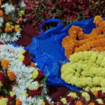Banaras Street Private Guided Walking Tour - The Sum Up