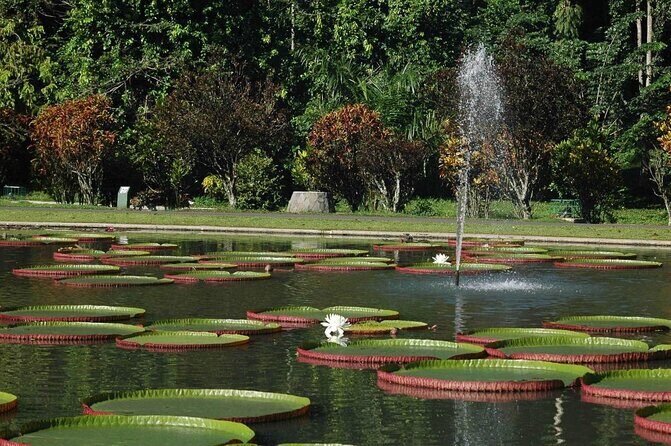 Bandung City Tour with High-Speed Rail (Whoosh) from Jakarta - Saung Angklung Udjo – The Heartbeat of Indonesian Music