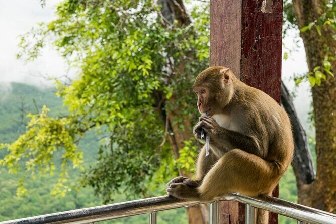 Bangkok: Safari world & Marine park - Practical Tips for Making the Most of This Tour