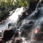 Banyumala Instagram Waterfall Private Tour - Who Would Love This Tour?