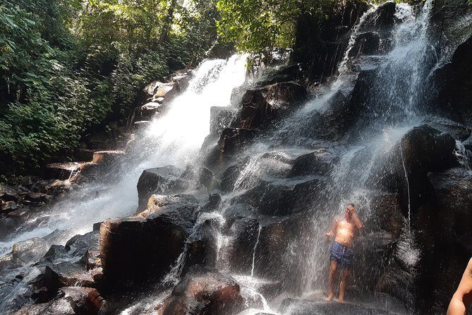 Banyumala Instagram Waterfall Private Tour - Who Would Love This Tour?