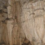 Baratang, Limestone Cave and Mud Volcano Tour from Port Blair - Insights from Reviews