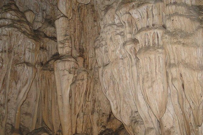 Baratang, Limestone Cave and Mud Volcano Tour from Port Blair - Insights from Reviews