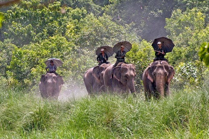 Bardia National Park Tour - Authentic Wildlife Encounters and Cultural Experiences