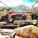Batu Caves And Genting Tour Include 2-way Cable Car Tickets - Final Thoughts