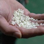 Be a Sake brewer for a Day!Study Abroad Sake at Amabuki sake brewery in Saga - Practical Details and Logistics