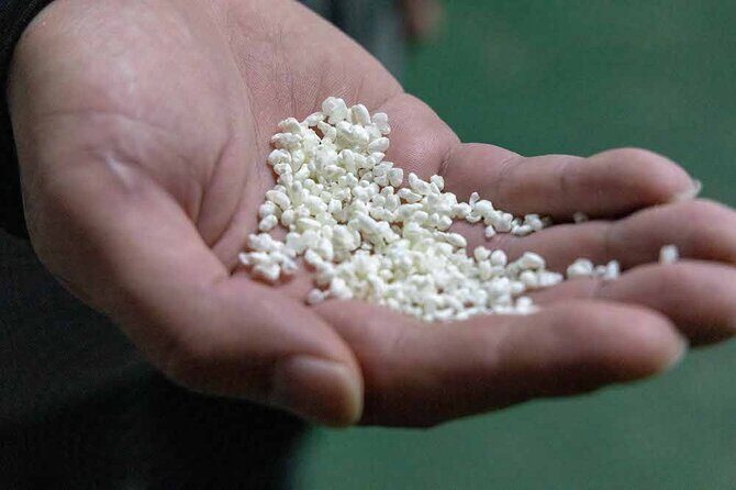 Be a Sake brewer for a Day!Study Abroad Sake at Amabuki sake brewery in Saga - Practical Details and Logistics