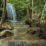 Beauty of Erawan Kanchanaburi waterfall -Private guided tour - Deep in Nature: The Forest and River