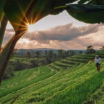 Bedugul & Tanah Lot Tour - Practical Details and What You Can Expect
