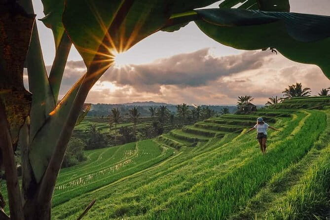 Bedugul & Tanah Lot Tour - Practical Details and What You Can Expect