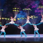 Beijing Acrobatics Night Show - Informed Insights from Reviews