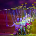 Beijing Acrobatics Show Ticket at Red Theatre - Final Thoughts