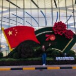 Beijing Airport Transfer from Tianjin International Cruise Port - Additional Insights from Reviews