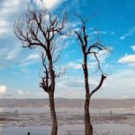 Beijing Layover Tour: Lama Temple, Guozijian Museum, Jingshan and Houhai Hutong - Practical Aspects and What You’ll Love