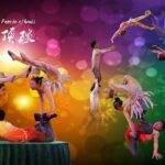 Beijing night Acrobatic Show with private pick up/drop off. - The Experience: What Sets It Apart?