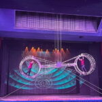 Beijing Night Tour for Acrobatic Show & Peking Duck - Logistics and Practicalities