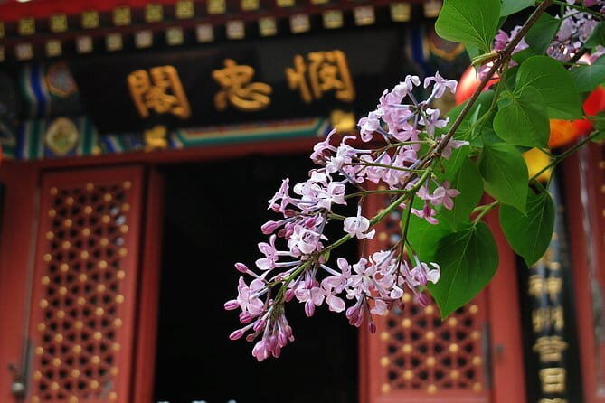 Beijing Private Day Tour of Ming Tombs, Temple of Heaven and Wangfujing Street - Authentic Insights from Reviewers