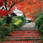 Beijing Private Tour to Summer Palace and Fragrant Hill with Cable Car Ride - What Does the Tour Offer in Terms of Value?
