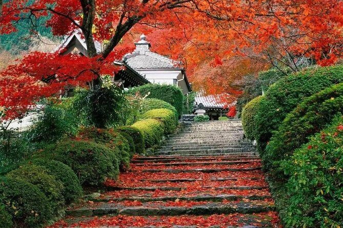 Beijing Private Tour to Summer Palace and Fragrant Hill with Cable Car Ride - What Does the Tour Offer in Terms of Value?