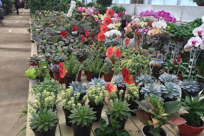 Beijing World Park and Flower Market Visiting with Private Driver Service - Authentic Insights from Past Travelers