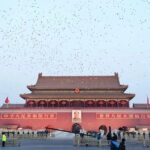 Beijing's Present and Past: Temple of Heaven, Forbidden City and Olympic Park - Practical Details and Tips