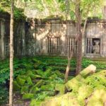 Beng Mealea avoid crowds Private Tour - Who Is This Tour Best For?