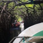 Bentota City Tour - FAQ