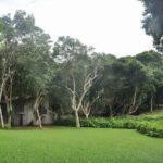 Bentota City Tour from Dikwella - Practical Insights for Travelers