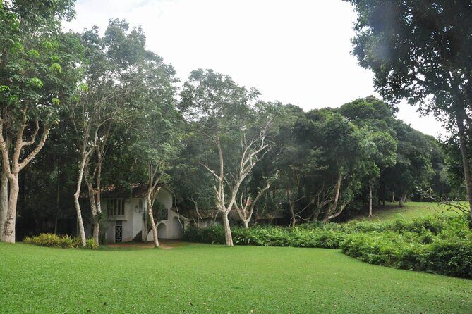Bentota City Tour from Dikwella - Practical Insights for Travelers