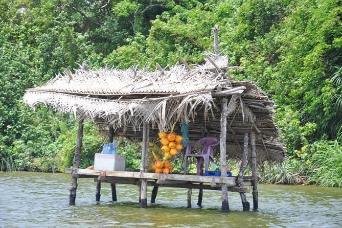 Bentota City Tour from Galle - Practical Considerations