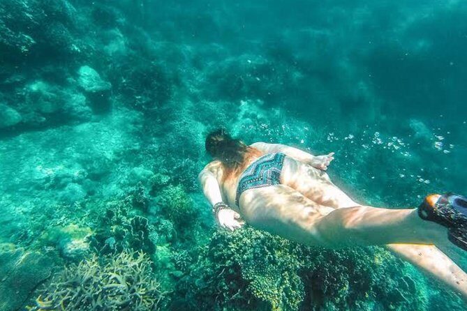 Best Bali Snorkeling At Blue Lagoon And Tanjung Jepun All-Inclusive - What Makes This Tour Stand Out?