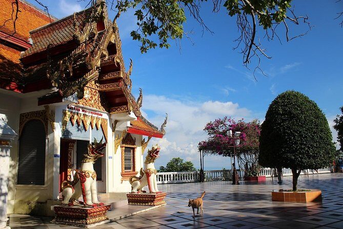 Best Chiang Mai City Tour: Viewpoint, Doi Suthep, Wat Chedi Luang - Final Thoughts: Is This Tour for You?