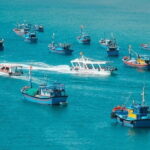 BEST Day Trip to Vinh Hy Bay Snorkeling, Fishing, Pottery Village - Key Points