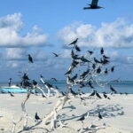 Best Excursion in Maldives - Why This Tour Offers Excellent Value