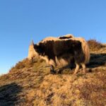 Best Hiking Trek - SWISSA - What’s Included and What to Expect