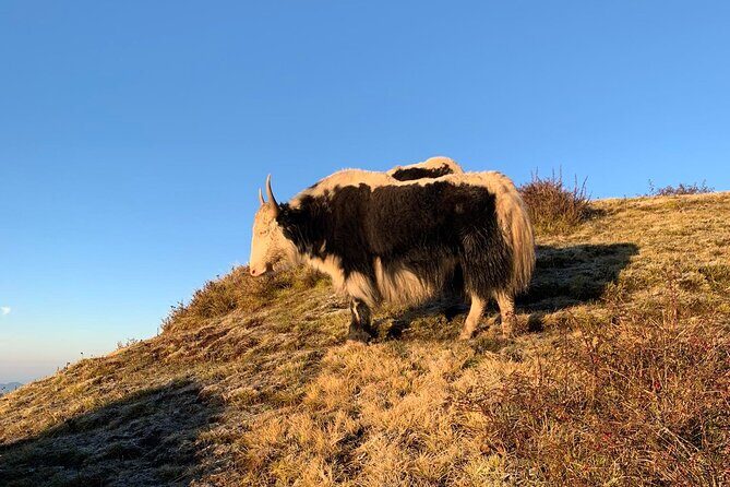 Best Hiking Trek - SWISSA - What’s Included and What to Expect