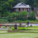 Best Mai Chau Day Trip: Explore Hidden Charms and Village Life - Discovering Local Handicrafts and Village Life