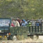 Best of Rajasthan with Ranthambore - Who This Tour Is Best For